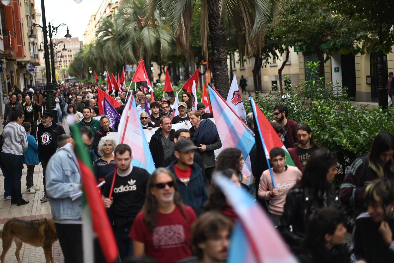 Manifestación en apoyo a los 6 de Zaragoza