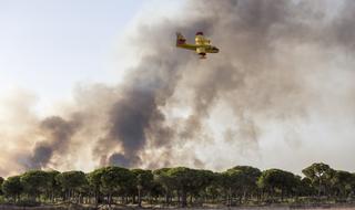 Andalucía logra frenar el avance de las llamas en Doñana