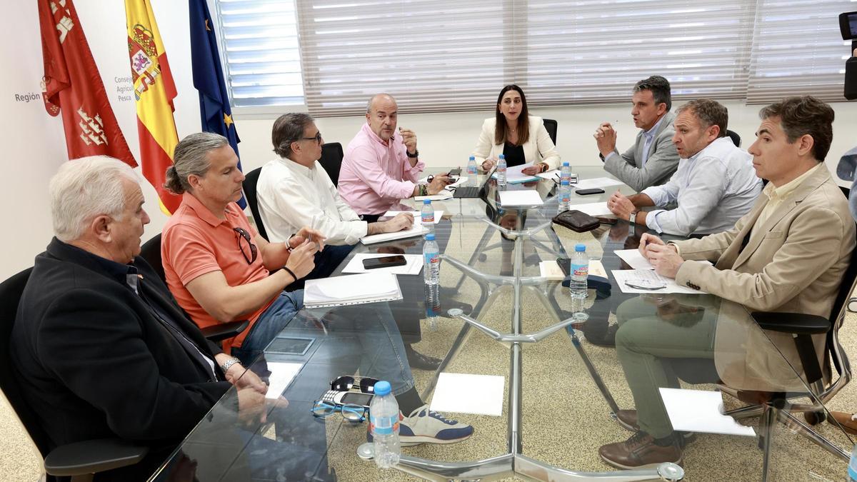 La consejera Sara Rubira, este miércoles en su reunión con las principales asociaciones y cooperativas agrarias.