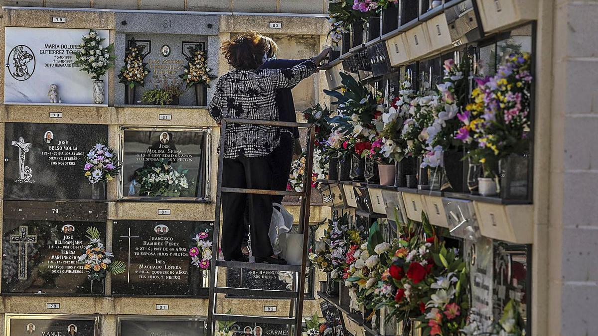 Arreglos en el cementerio de Elche.