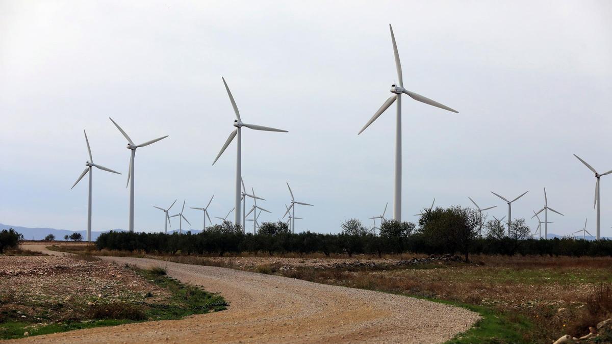 Molinos de viento en La Muela, una localidad pionera en el despliegue de eólicas en Aragón.