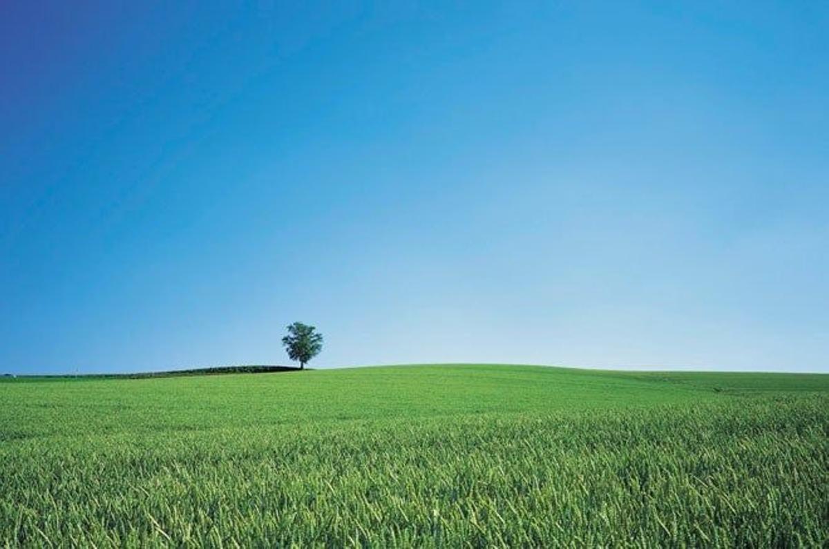 Paisaje de Hokkaido.