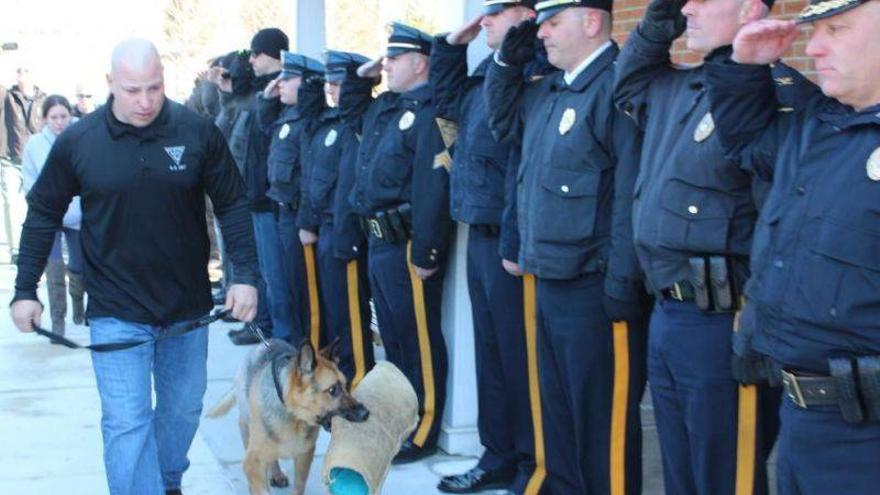 Un perro policía despedido como un héroe