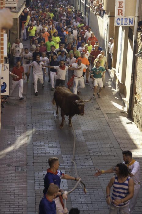 La carrera del Toro Enmaromado 2017 Razonador