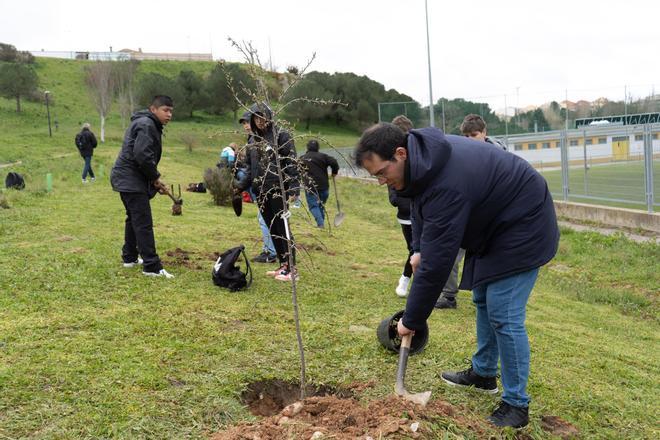 Plantación de árboles por alumnos del IES La Vaguada en Valorio