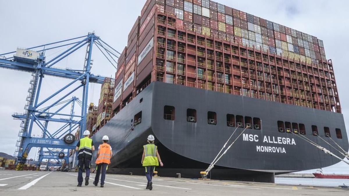 Grúas en funcionamiento en la terminal operada por Opcsa