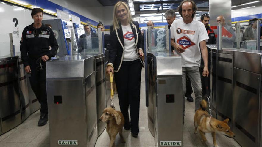 Los perros ya pueden viajar en el Metro de Madrid