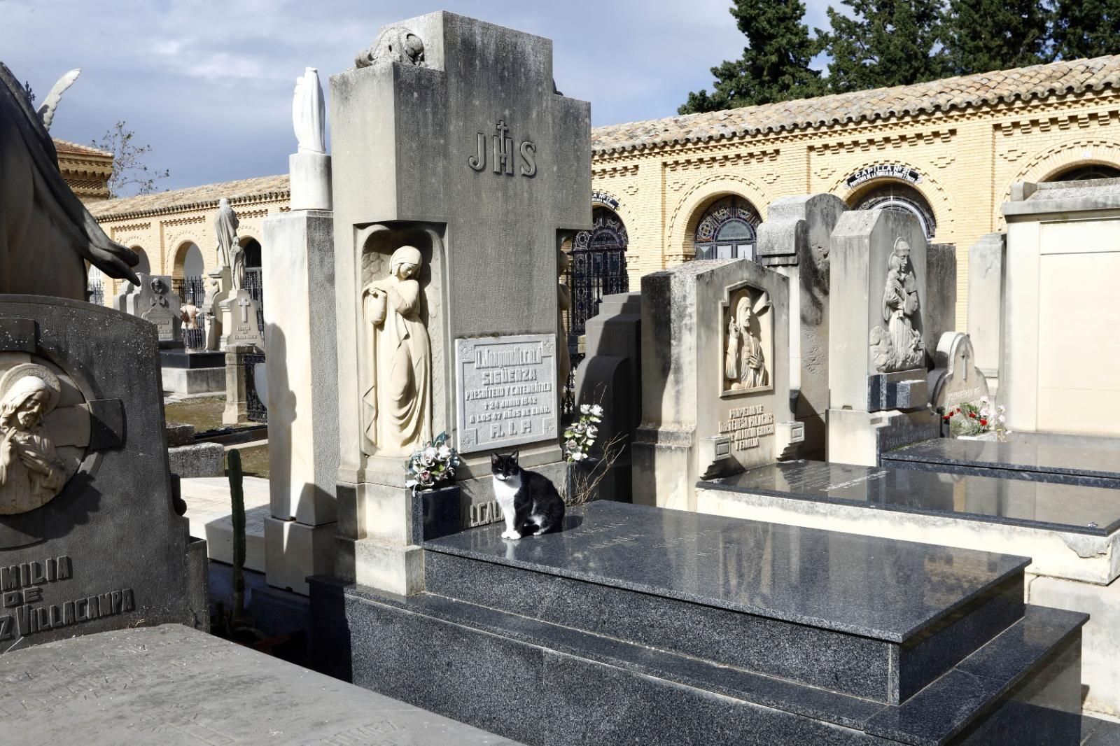 En imágenes | El cementerio de Zaragoza, un museo al aire libre que se engalana para el Día de Todos los Santos