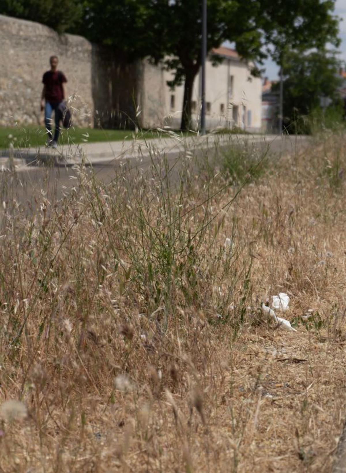 La ciudad, desde la margen izquierda: lo cotidiano destierra a lo rimbombante