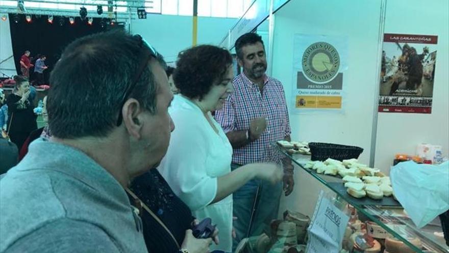 Catas, talleres y visitas en la Feria del Queso