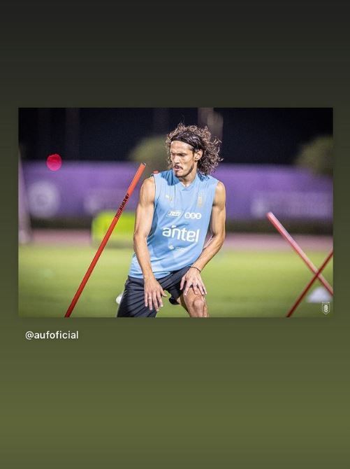 Cavani.JPG