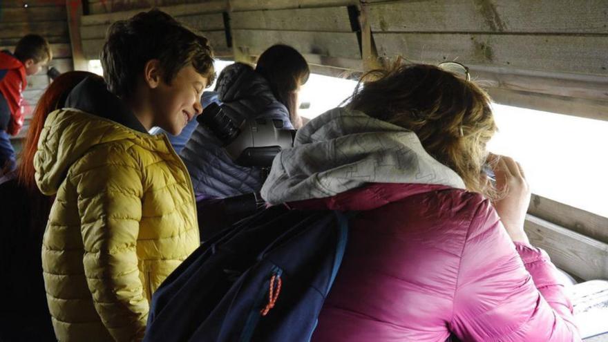 Un grupo de personas, observando aves ayer en la ensenada de Llodero. | Ricardo Solís