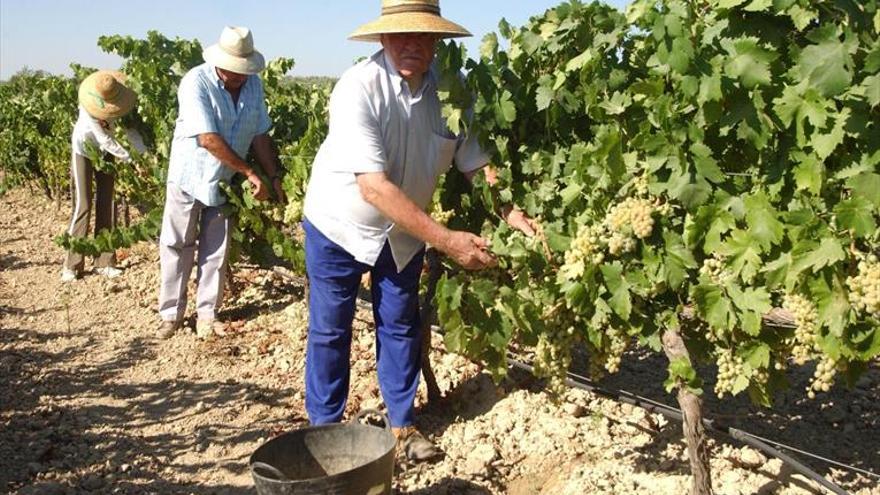 APAG acusa a la Consejería para la Transición de obstruir al campo