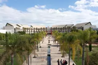 El lugar de la Universidad de Alicante que arrasa en internet: "Si lo conoces, lo siento por ti"