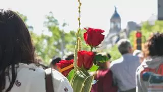 Esta es la rosa que ha triunfado este Sant Jordi 2025