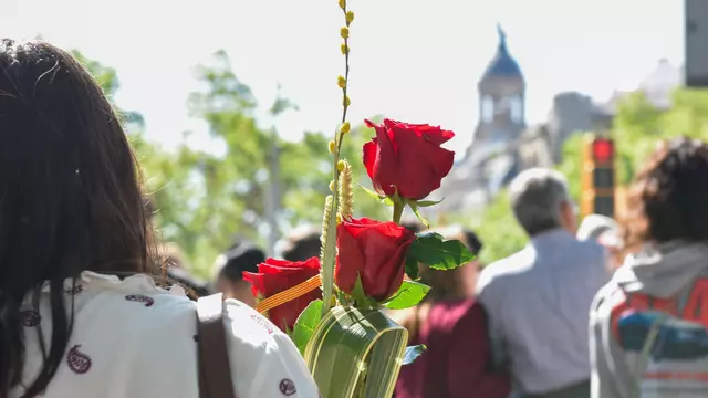 Esta es la rosa que ha triunfado este Sant Jordi 2025