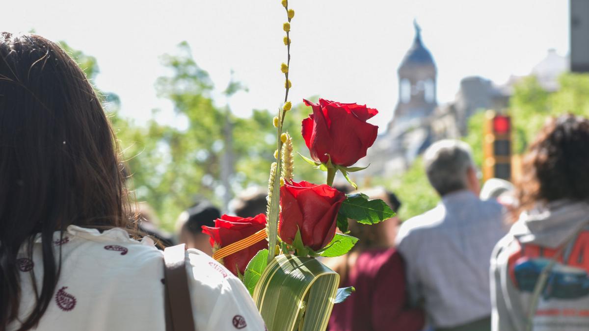 Una persona lleva una rosa durante la Diada de Sant Jordi 2025.