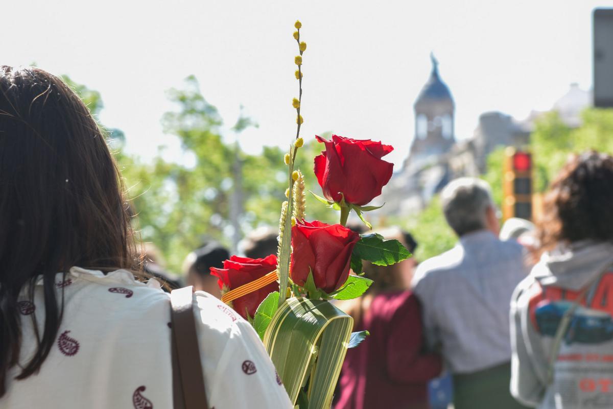 Llibreries, quilòmetre zero