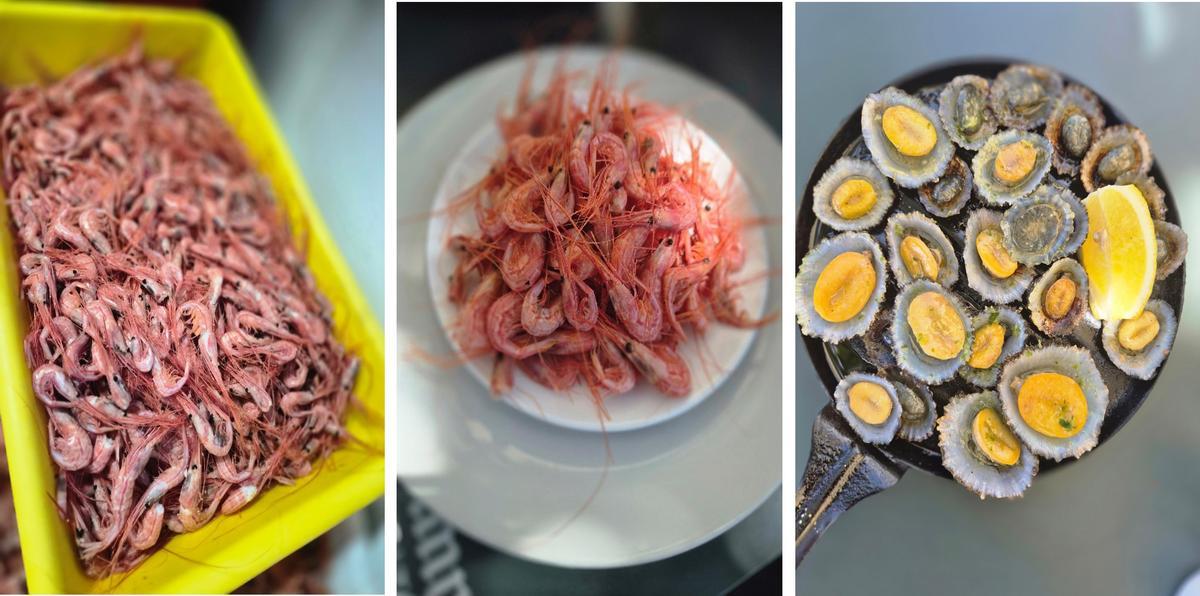 Camarones frescos y lapas a la plancha