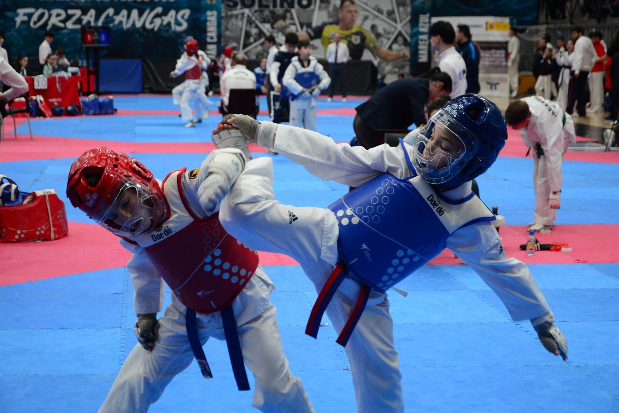 El Campeonato Gallego de Promesas y Veteranos llena O Gatañal de aficionados al taekwondo