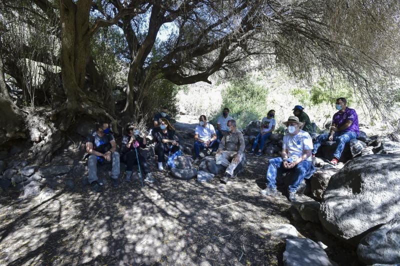 Inauguración del camino de las bestias en Ingenio