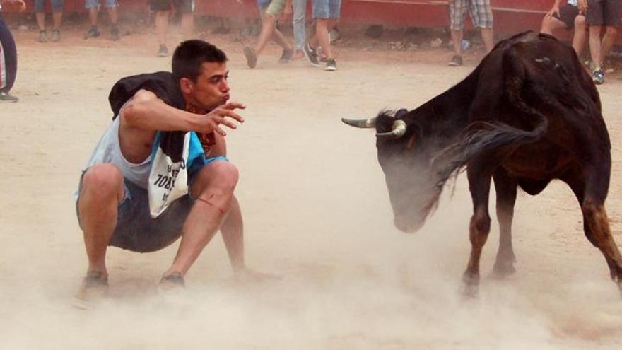 Un dels moments de la celebració de les vaquetes durant la Festa Major de Santpedor de l´any passat