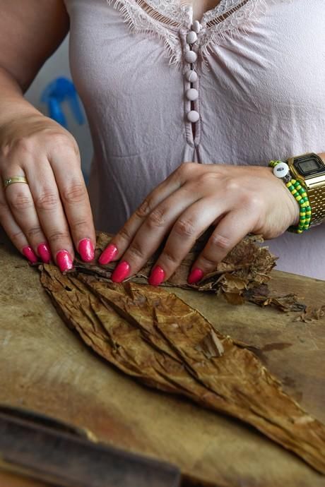 27-08-20  LAS PALMAS DE GRAN CANARIA. SCHAMANN. LAS PALMAS DE GRAN CANARIA.  Reportaje al único taller de puros artesanos que hay en la capital. El taller se llama Doble M y lo lleva Mercedes Martínez, ella es cubana y trae las hojas de tabaco desde la isla caribeña, todo lo hace a mano.  Fotos: Juan Castro.  | 27/08/2020 | Fotógrafo: Juan Carlos Castro