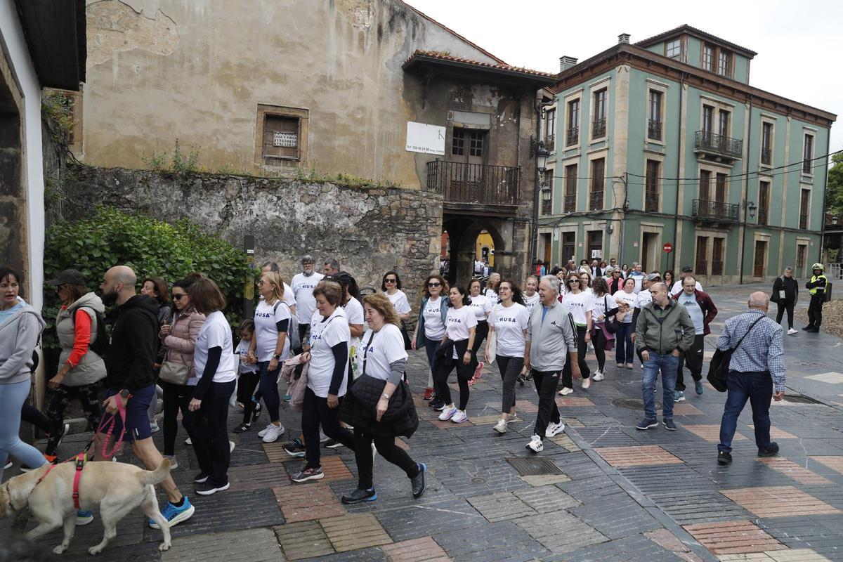 EN IMÁGENES: marcha conmemorativa del 50.º aniversario del HUSA, de Avilés EN IMÁGENES: marcha conmemorativa del 50.º aniversario del HUSA, de Avilés