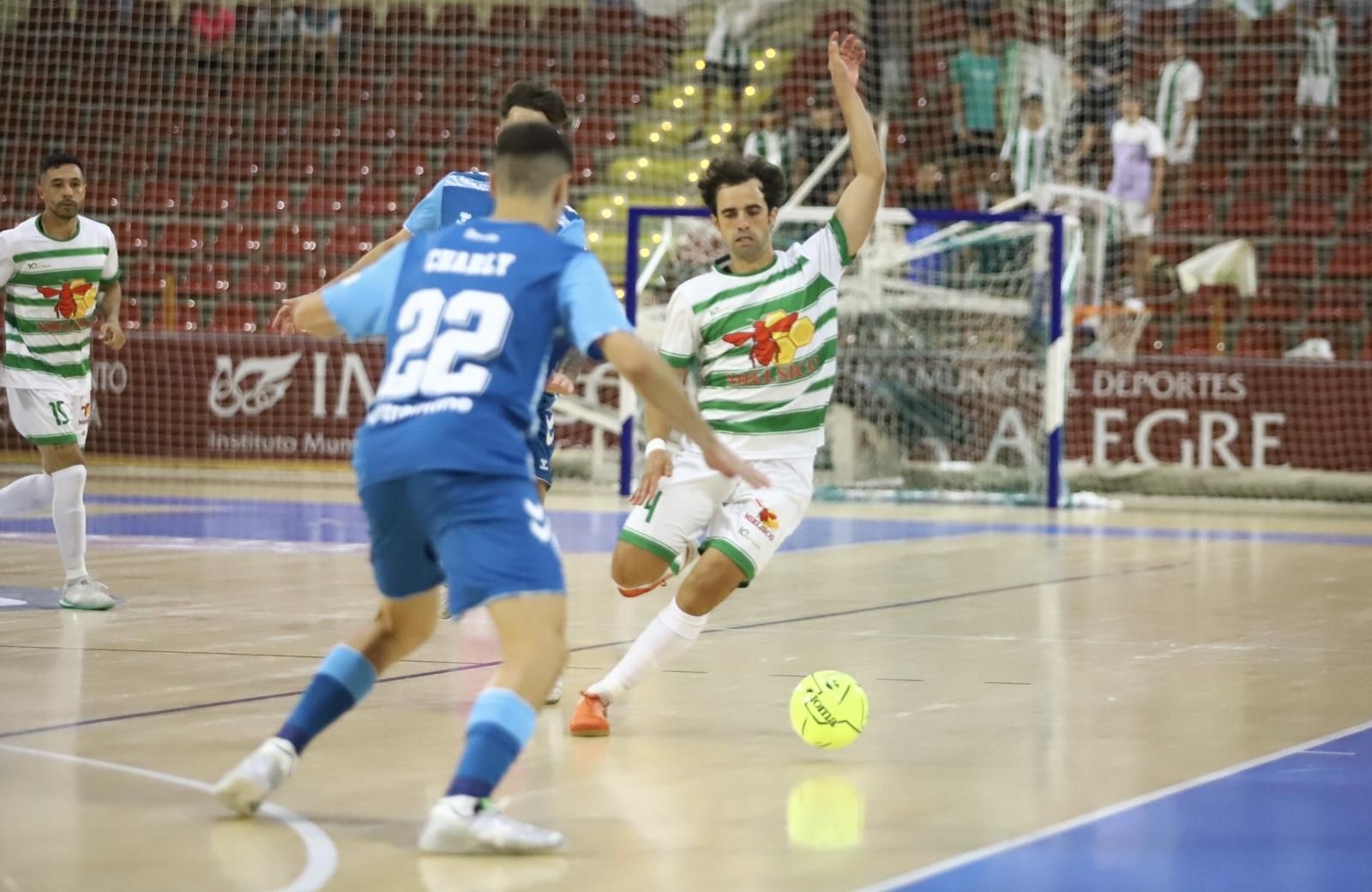 Córdoba Futsal-Real Betis Futsal | Las imágenes del partido en el Palacio Vista Alegre
