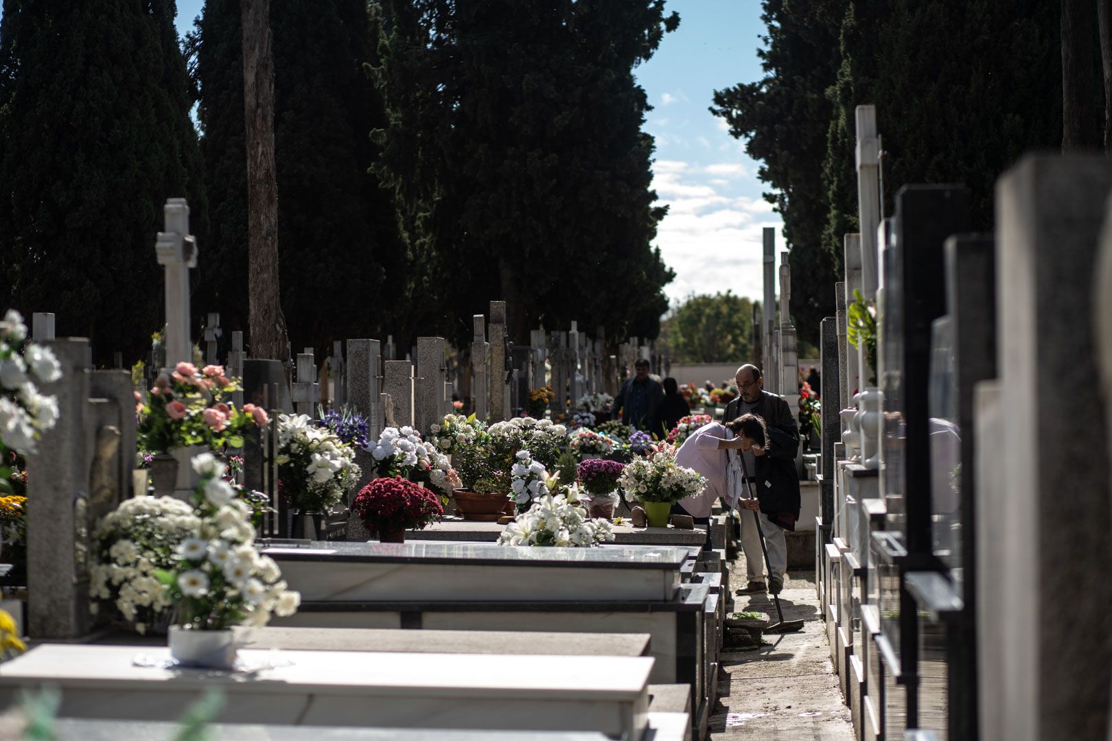 GALERÍA | La imágenes del Día de Todos los Santos en el cementerio de Zamora