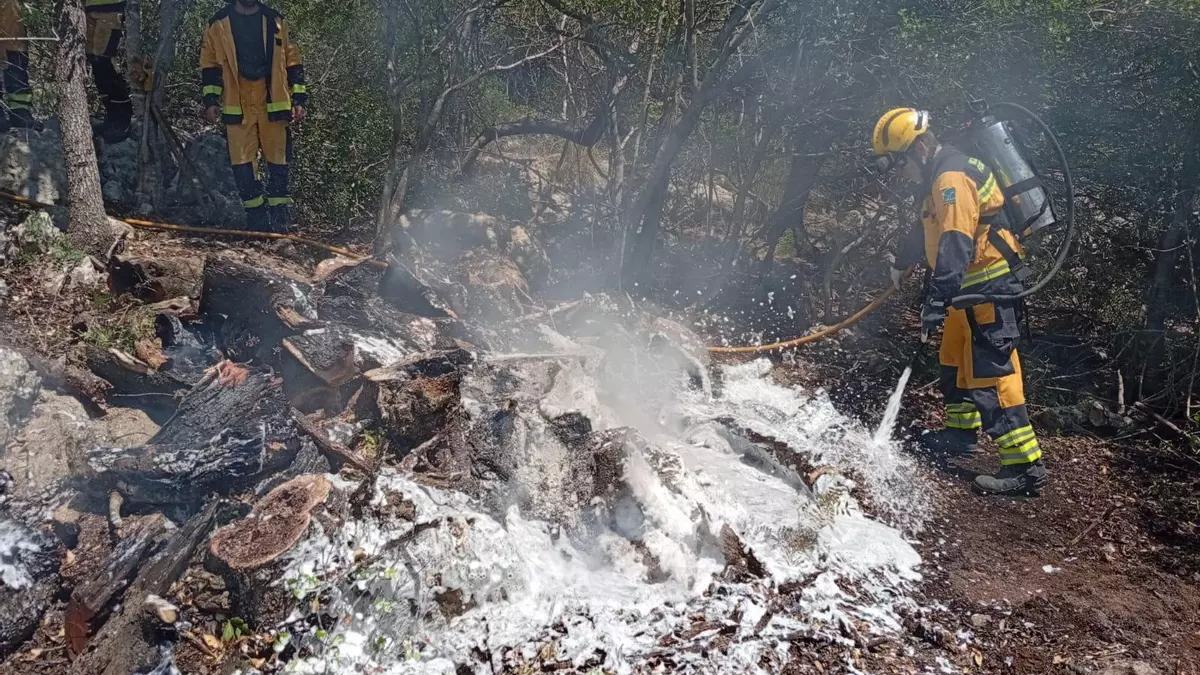 Declarados dos incendios en Algaida y sa Pobla