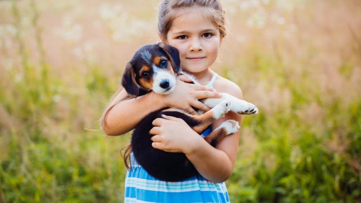 I tu, què prefereixes?