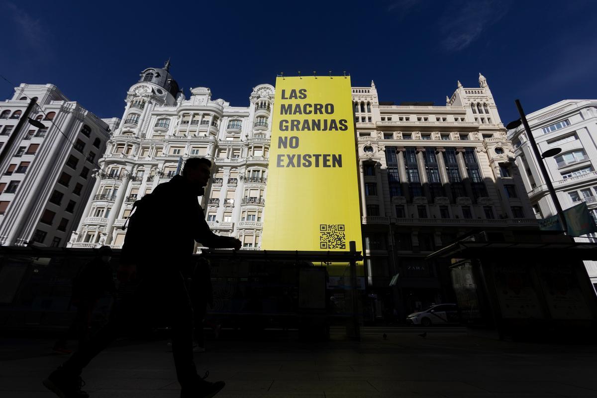 Activistas de Greenpeace han colgado una pancarta de más de 30 metros en una fachada de la Gran Vía de Madrid en la que, bajo el lema Las macrogranjas no existen… pero cerradlas ya”, exigen el cierre de estas instalaciones y de la ganadería intensiva para acabar con su devastador impacto.