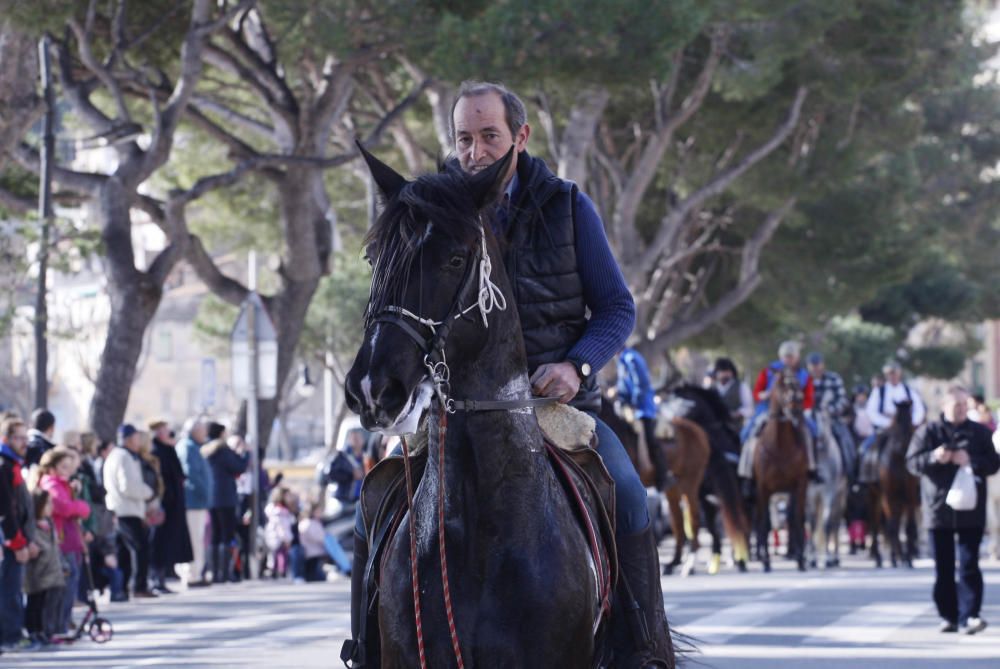 Festa de Sant Antoni Abat a Sant Feliu de Guíxols