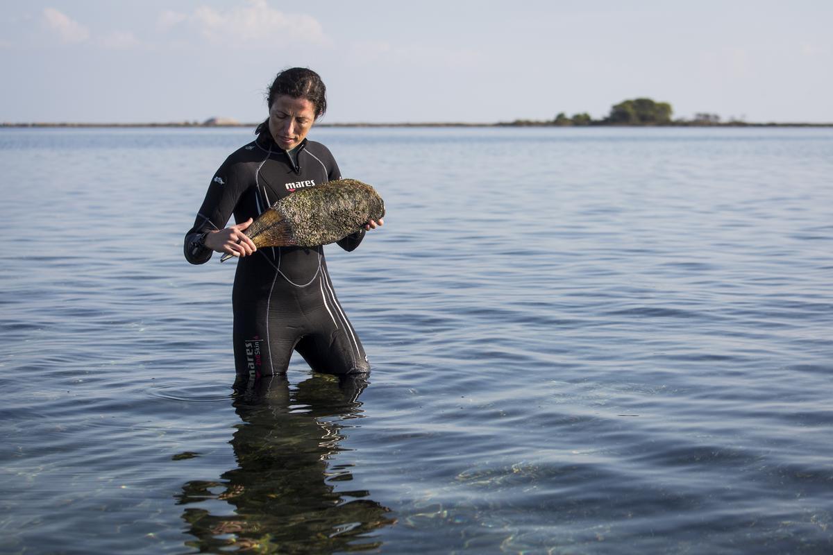 Patrícia  Prado rescata un ejemplar de nacra, dentro del proyecto de cría en cautividad para salvar a esta especie.