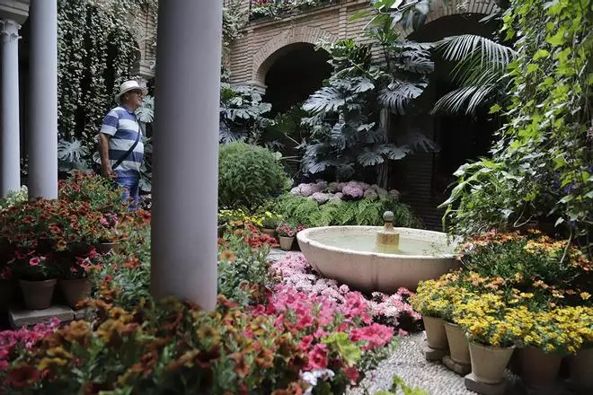Los patios de San Pedro y Santiago, en imágenes