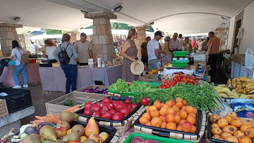 "Juntos por Cangas" reclama baños públicos en el mercado dominical