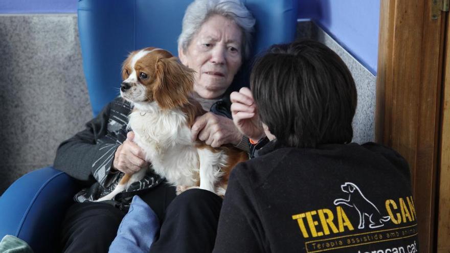 La mascota com a teràpia per a persones amb demència