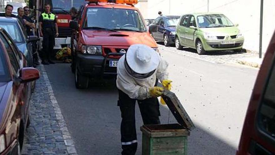 Un apicultor tuvo que retirar el enjambre de abejas hallado en un vehículo de Alcoy.