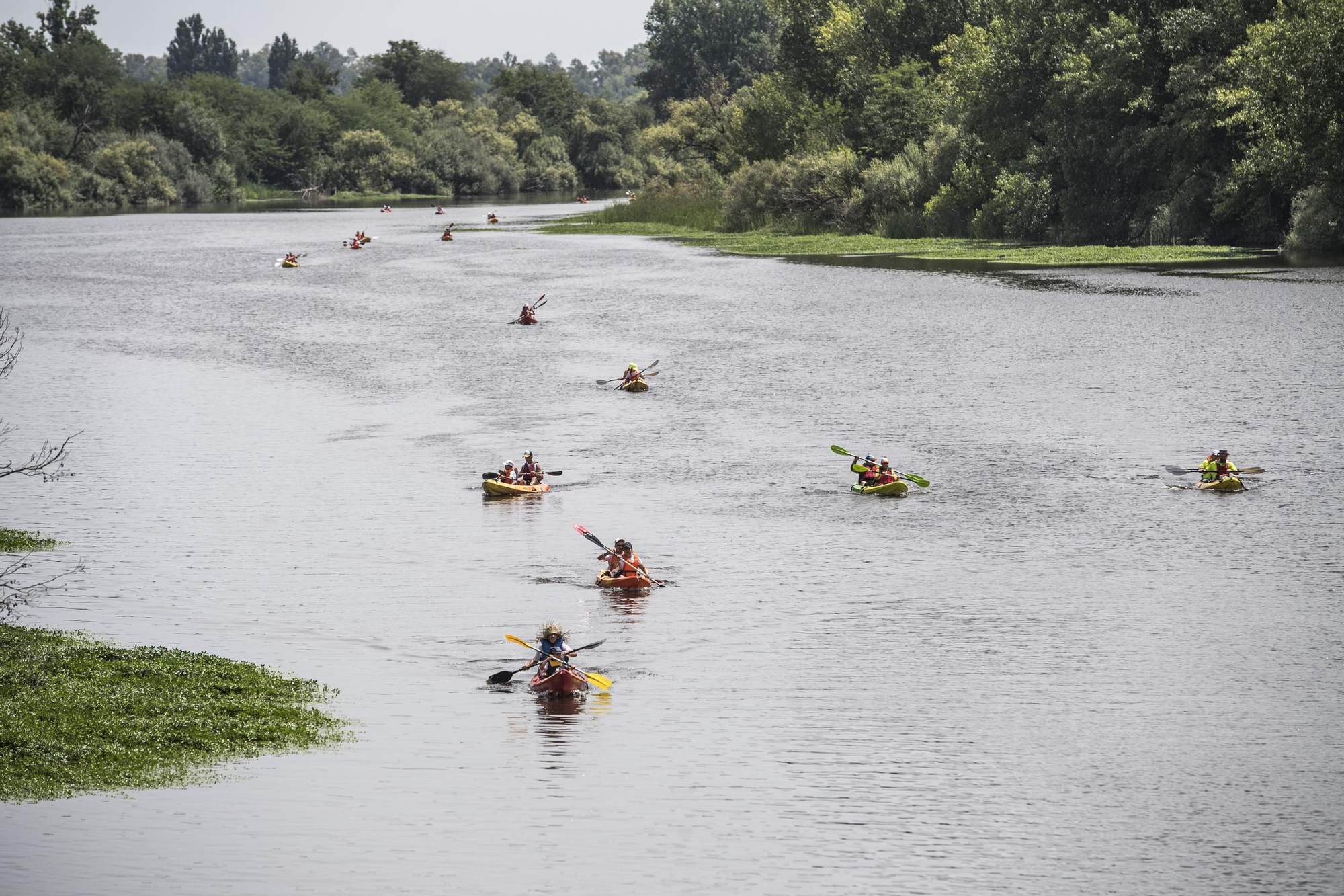 La XV edición del Descenso de Río Alagón, en imágenes