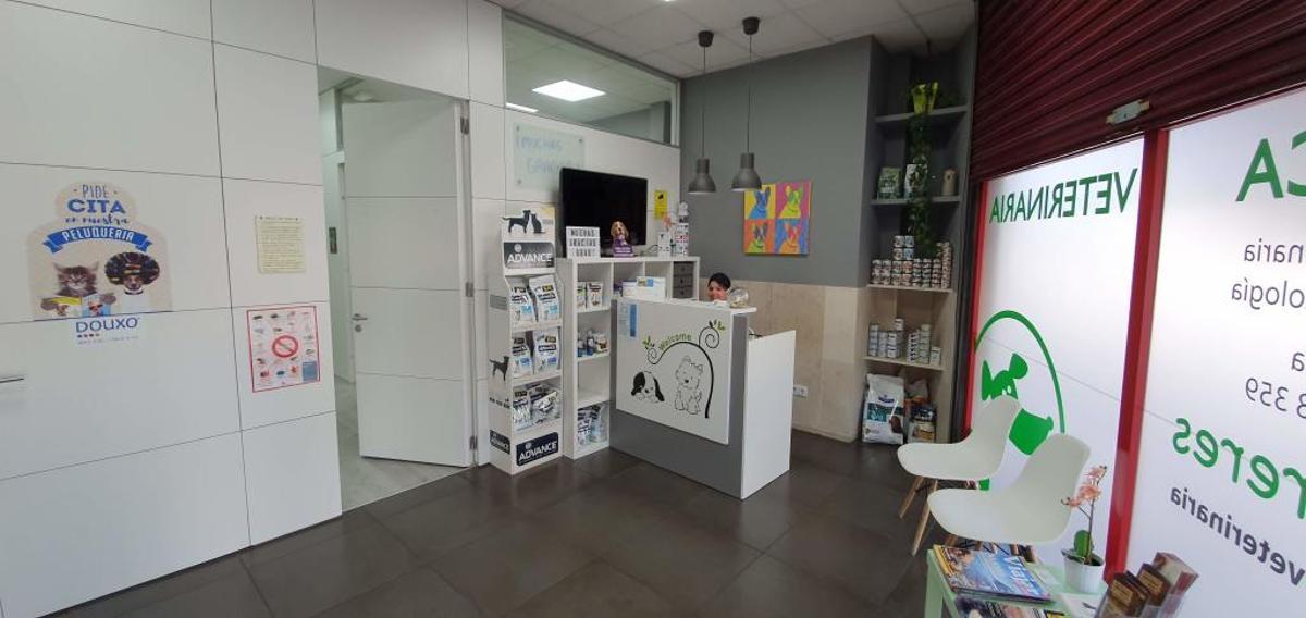 Clínica Veterinaria De Carreres: Especialistas en dermatología veterinaria en Alicante