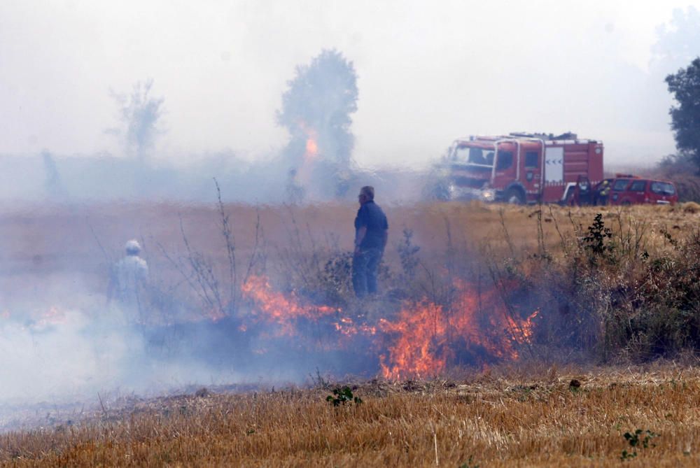 Incendi entre Cruïlles i Monells