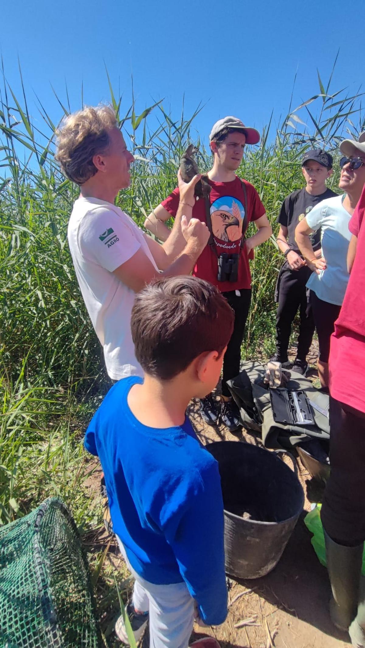 Acció Ecologista-Agró hace una valoración muy positiva de los resultados obtenidos los dos primeros años del Projecte Emys