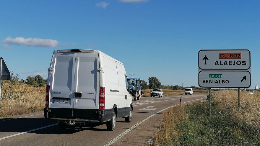 Toro alerta sobre riesgo de accidente en la CL-602 por perros sueltos