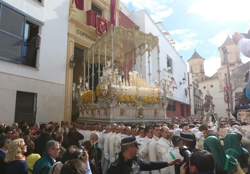 Domingo de Ramos de 2016 | Pollinica