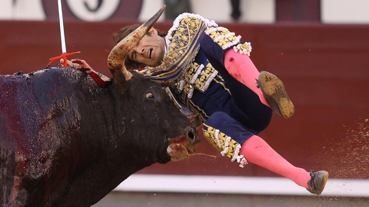 El diestro Sebastián Castella ha sido embestido por su segundo toro este viernes en Las Ventas.