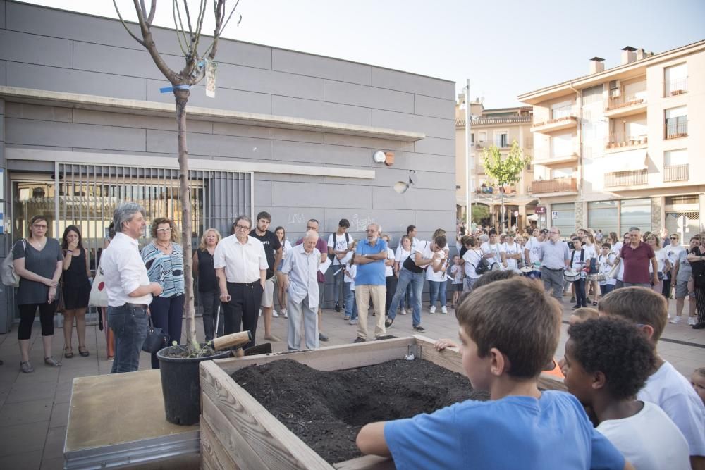 Festa de l'arbre Fruiter a Moià