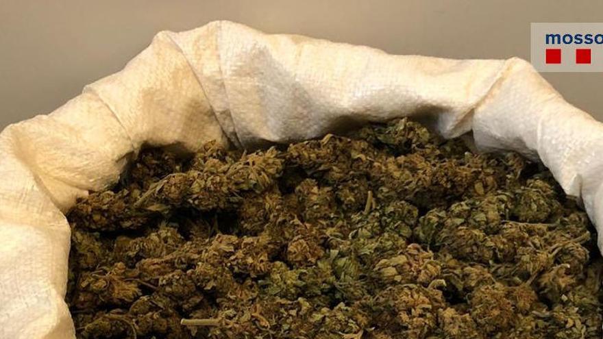 El sac amb els cabdells de marihuana.