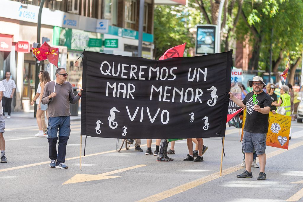 Las marchas de la dignidad este 9 de junio, en imágenes