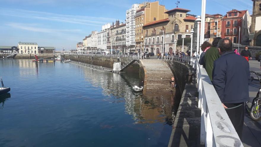 Un hombre se lanza al agua para rescatar a su perra en el Puerto Deportivo de Gijón